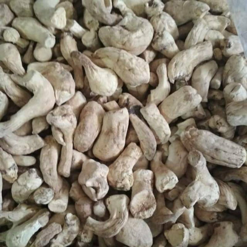 

Kaki Jamur Kering Size L 1 Kg