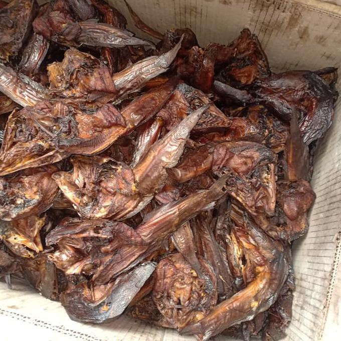 IKAN LELE ASAP ( IKAN SALE )