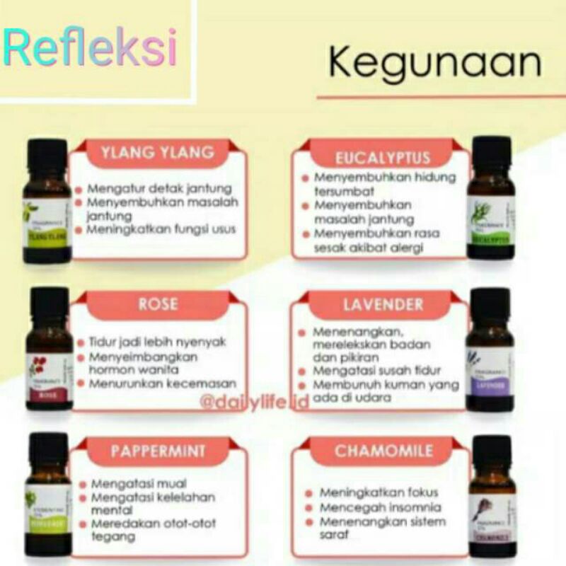 Essential Oil Aromatherapy Diffuser Pengharum Ruangan Fragrance Oil Pewangi