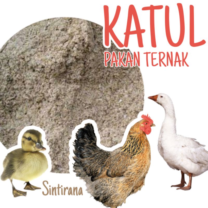 DEDAK KATUL Pakan Ternak BEKATUL DEDEK