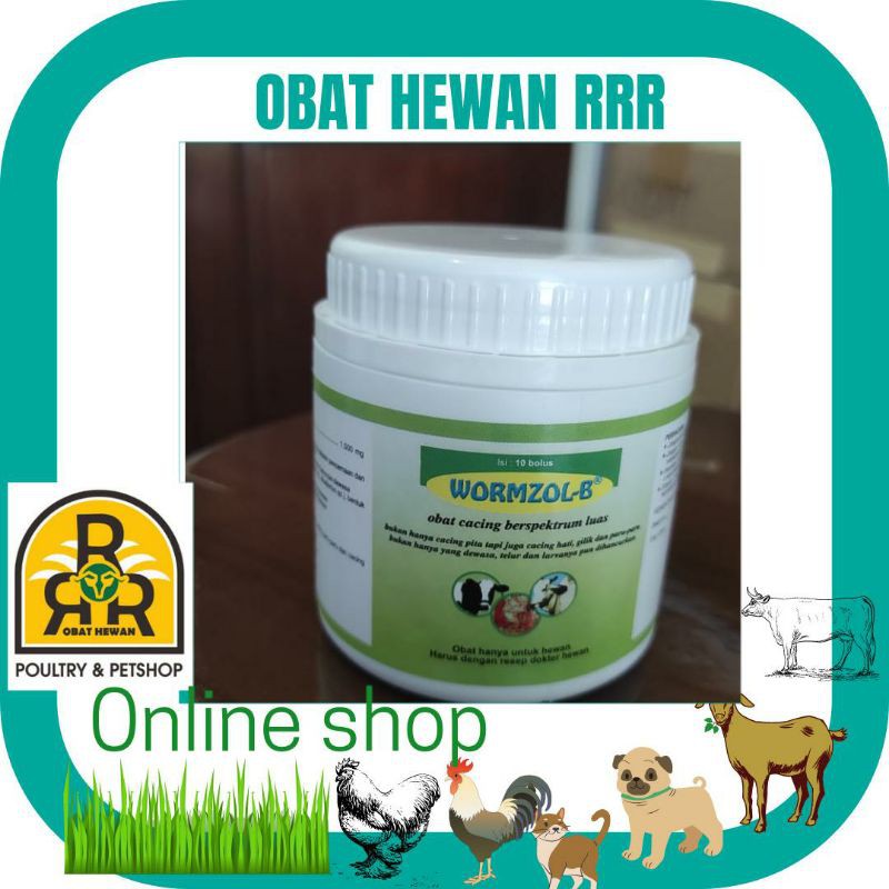 WORMZOL B-10 bolus