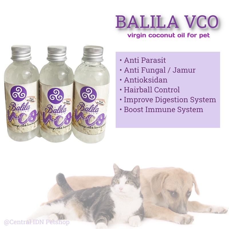 OBAT JAMUR SCABIES KUCING ANJING MINYAK VCO BALILA MURNI 60ML