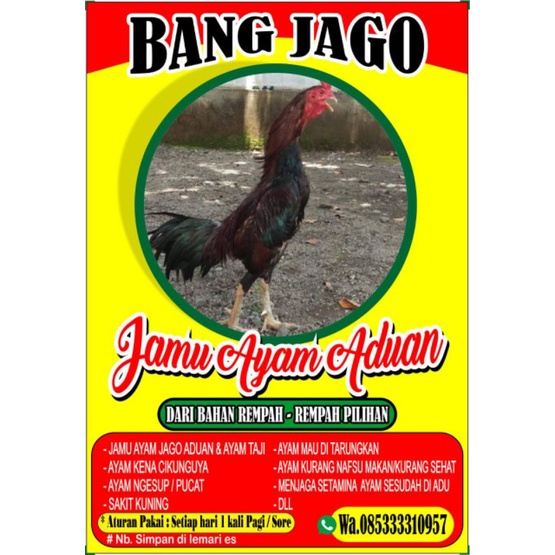 

BANG JAGO JAMU AYAM KONTES