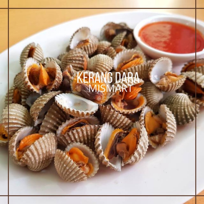

KERANG DARA FRESH PER 1KG