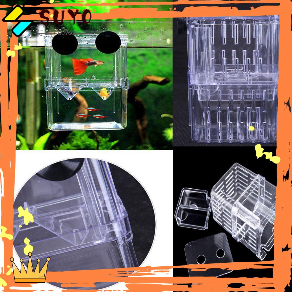 Suyo Kotak Tempat Penetasan Ikan Transparan Dengan Suction Cup Untuk Akuarium