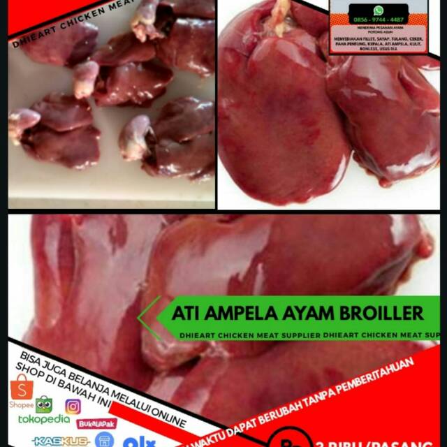 

Ati ampela Broiler