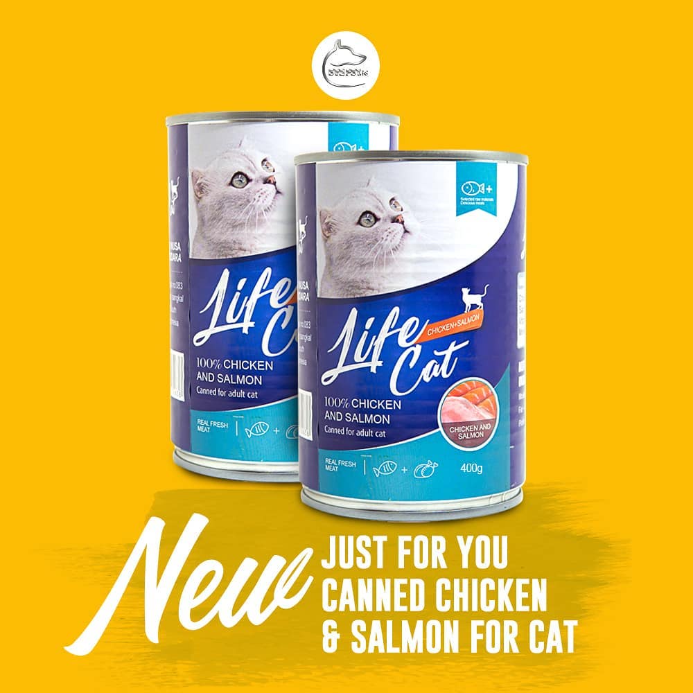 Kaleng Life cat kitten &amp; adult 400 gr makanan basah Cair Anak Kucing Dewasa Kaleng