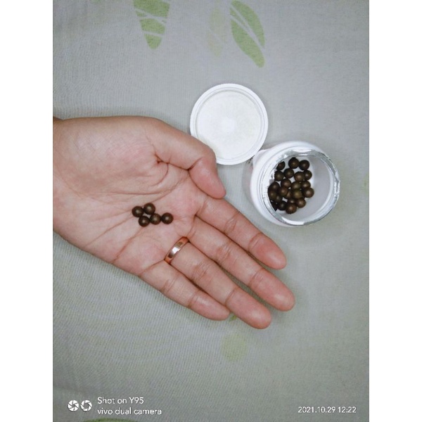 pelangsing by darbel / penurun Berat badan / diet ampuh