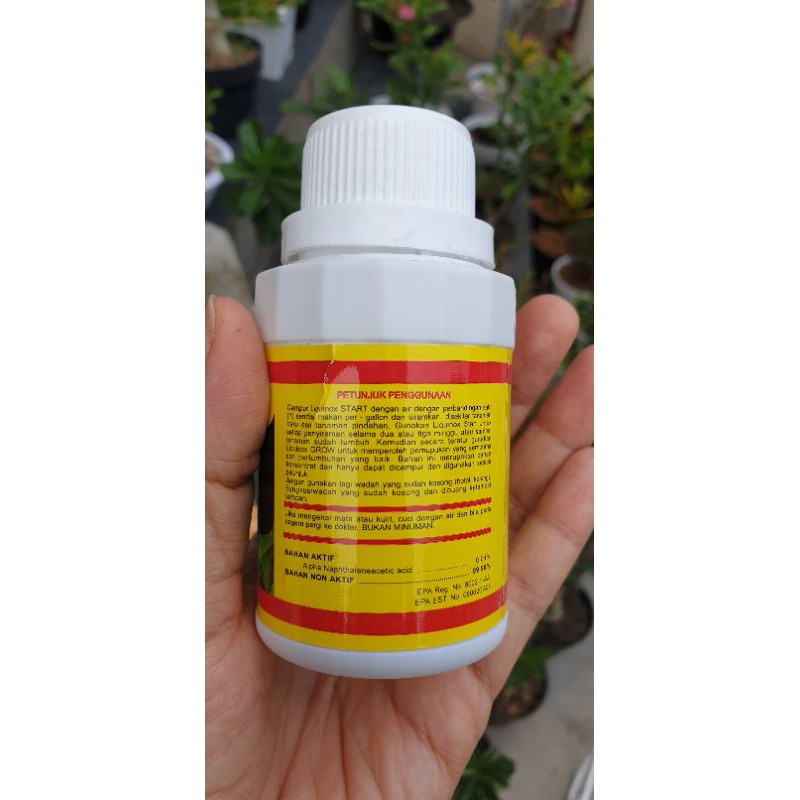 Vitamin B1 cair vitani liquinox start B1 plus B1 Thailand pupuk untuk perangsang akar tanaman anti stres