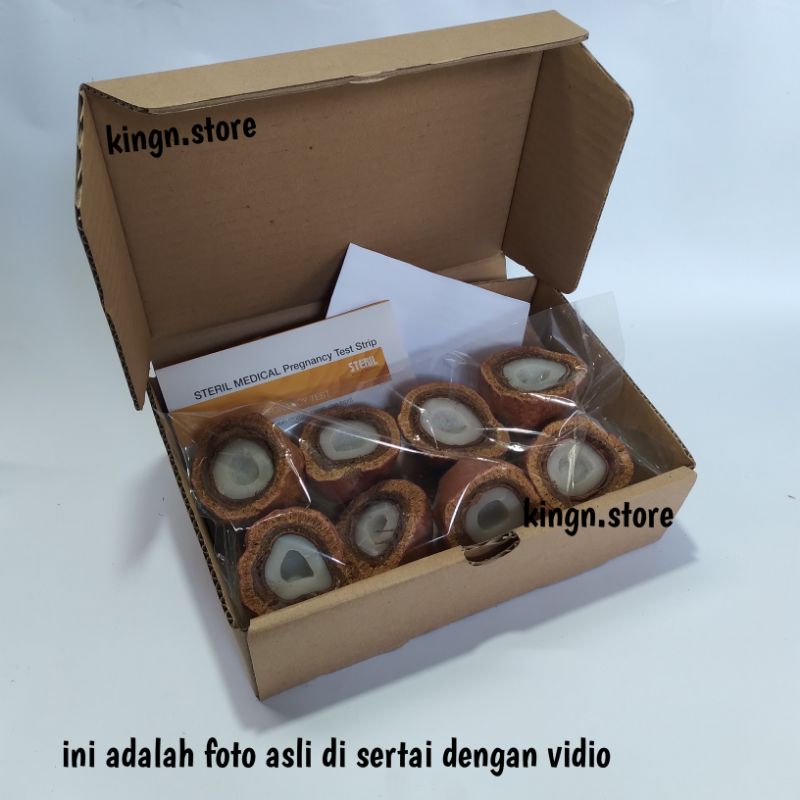 buah zuriat mesir-zuriat 1 box-zuriyat mesir-serbuk zuriat