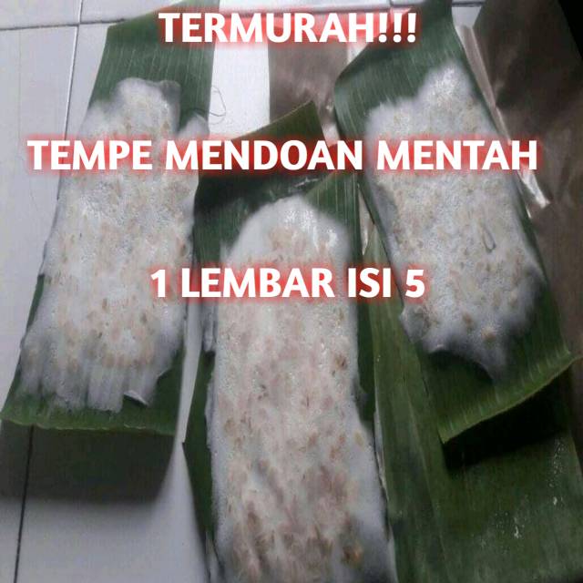 

TERMURAH!!! TEMPE MENDOAN MENTAH 1 LEMBAR ISI 5