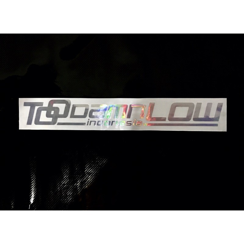 

50cm hologram logo // toodamnlow original declas