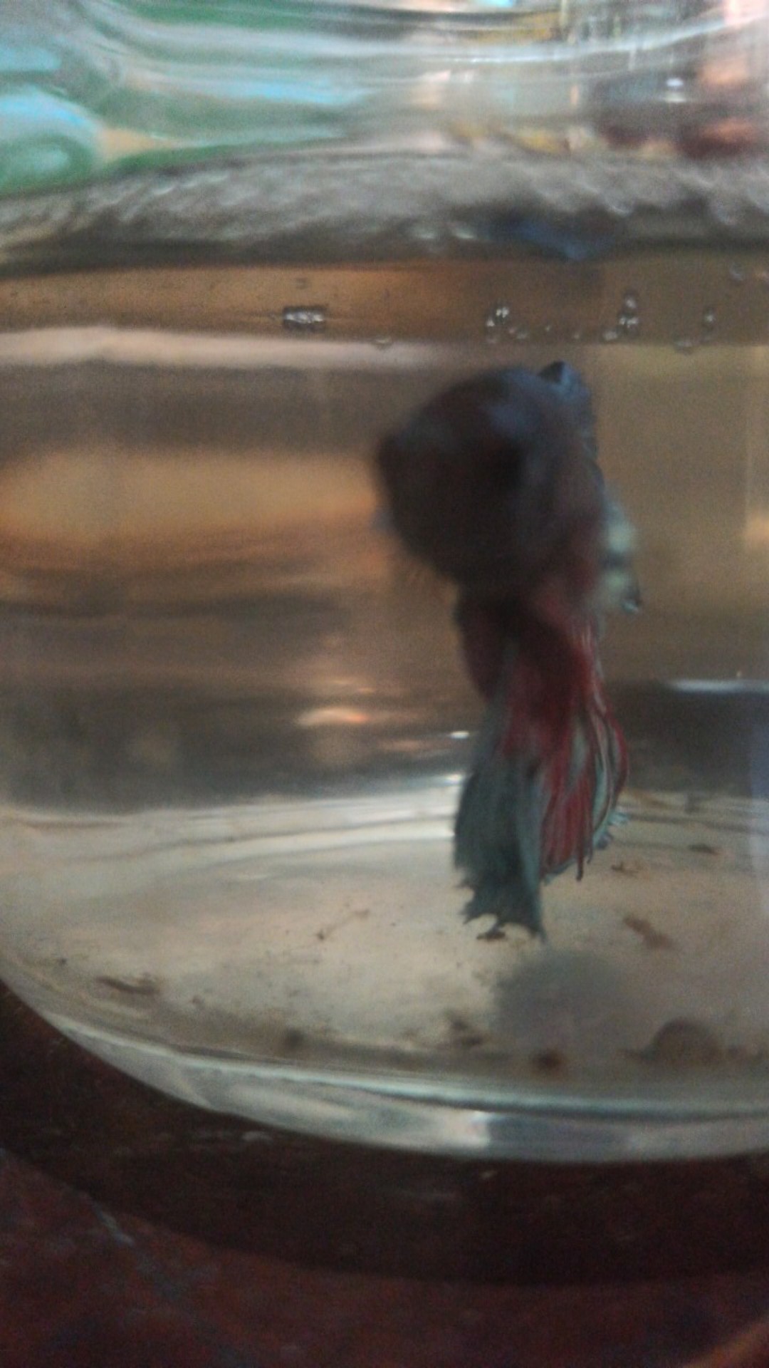 Spons Cuci Piring / Spons Serbaguna 1 Pieces