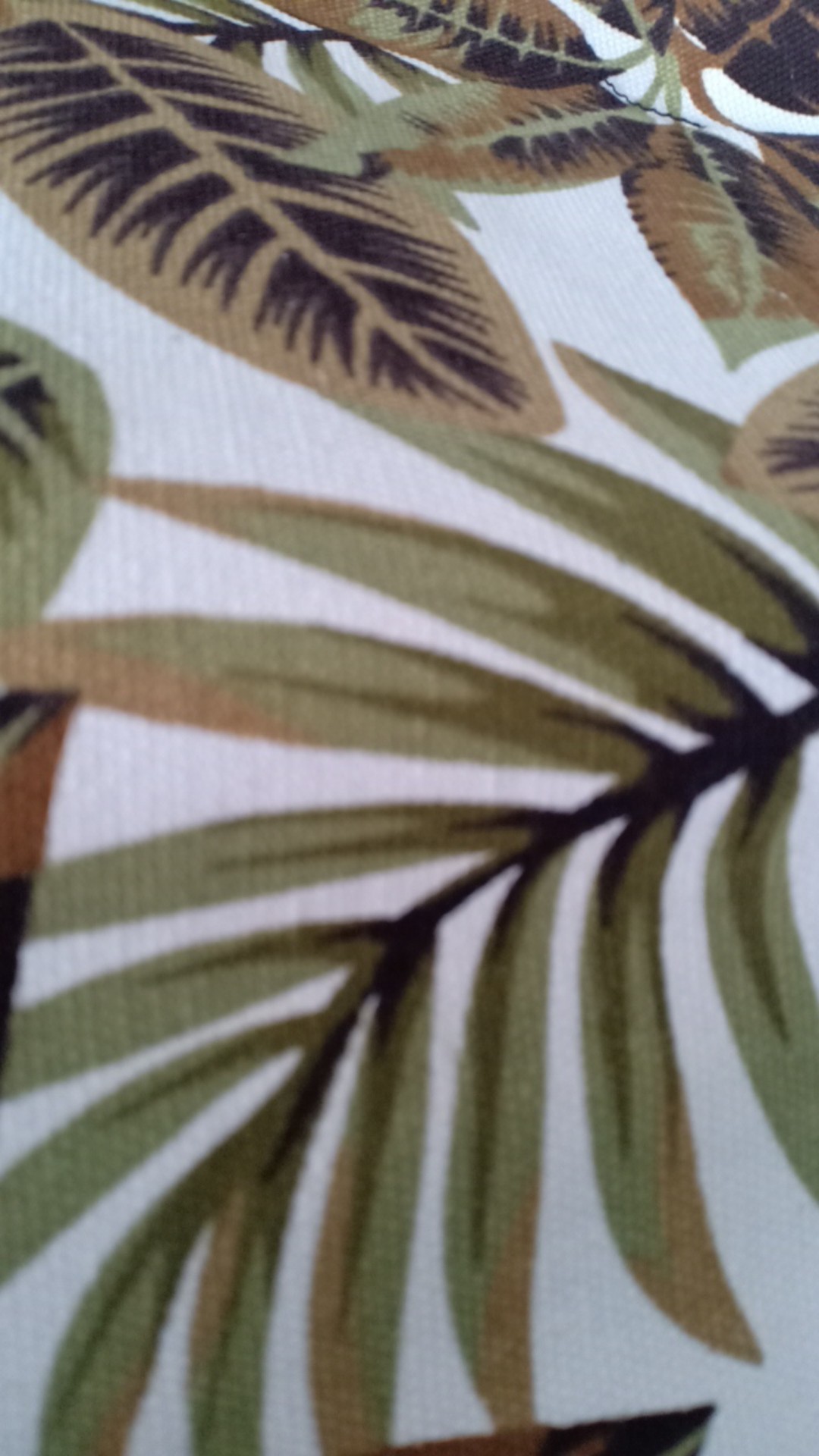 Kanvas Monstera Palm