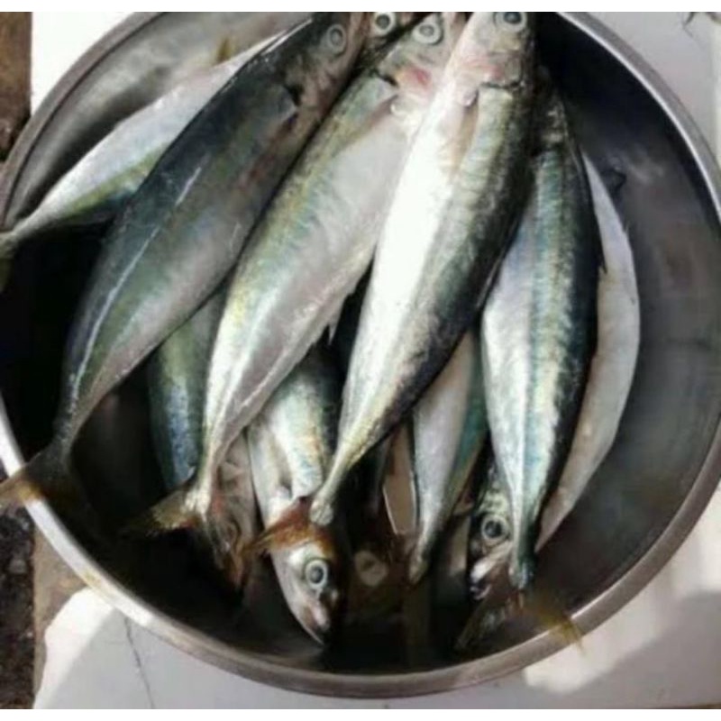 

IKAN LAYANG / IKAN PINDANG per 500 gram