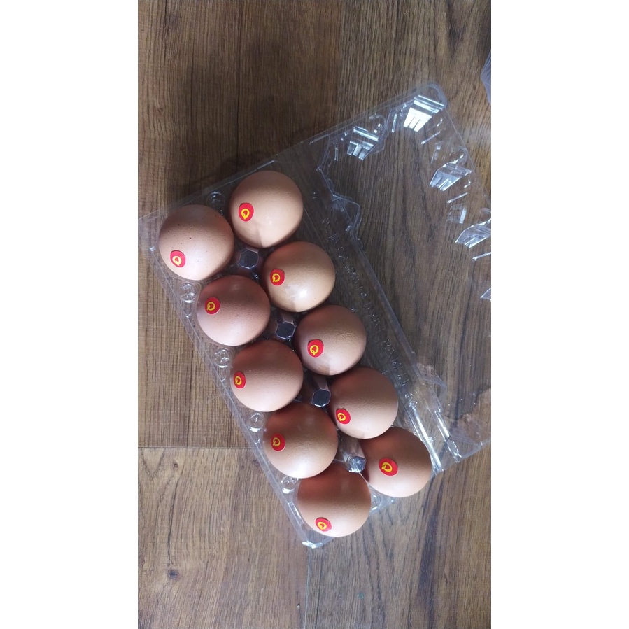 

Telur Ayam Omega 3 isi 10 butir per pack | Omega Eggs | Telor Omega 3 Premium