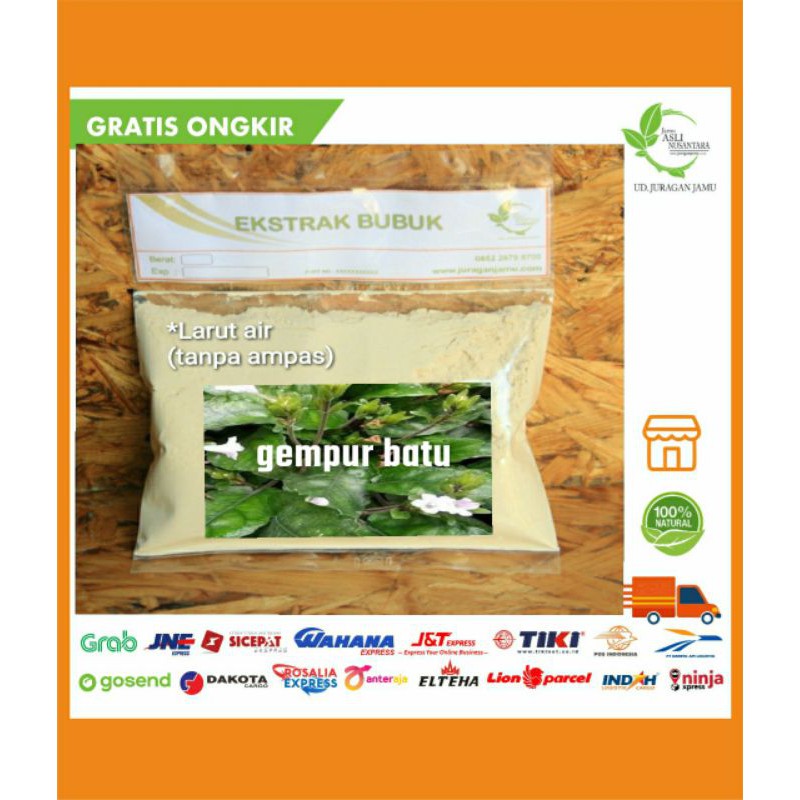 

Gempur Batu Daun Ekstrak bubuk serbuk gempur watu, kertas watu, bulu lutung, remuk sela.