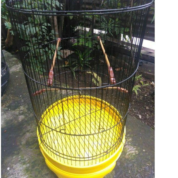 ⚡ALEE.. tangkringan kolibri/konin sangkar LB produck terlaris