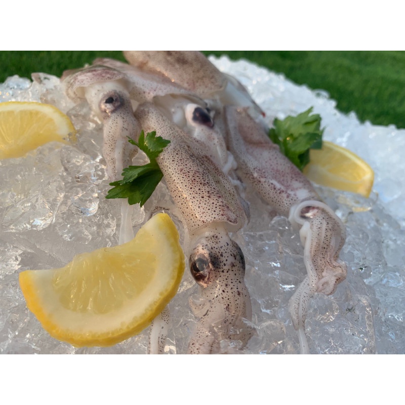 

Cumi - Cumi Segar 500 gr