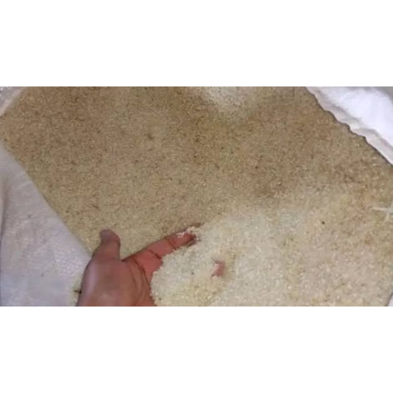 menir beras buat pakan ayam bebek dll