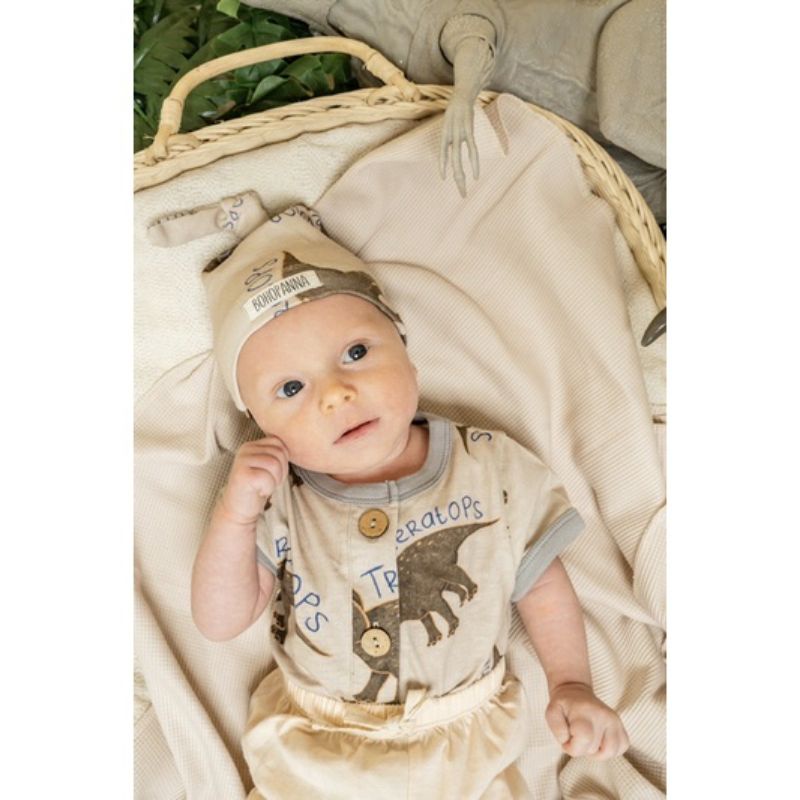 PEEK A BOO BABY SHOP - Bohopanna - Bohobaby Bae Set / Bae Set Dino Series / Setelan Bayi / Baju Bayi-3