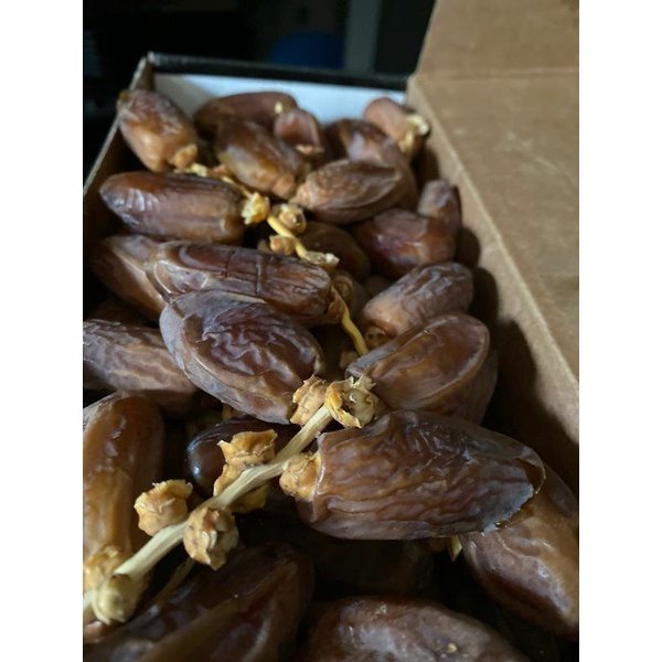 

FRESH4YOU_KURMA PALM FRUIT KURMA PREMIUM KURMA KEMASAN 500GRAM