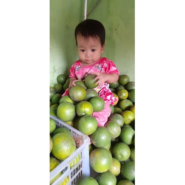 

jeruk baby malang manis 500gram