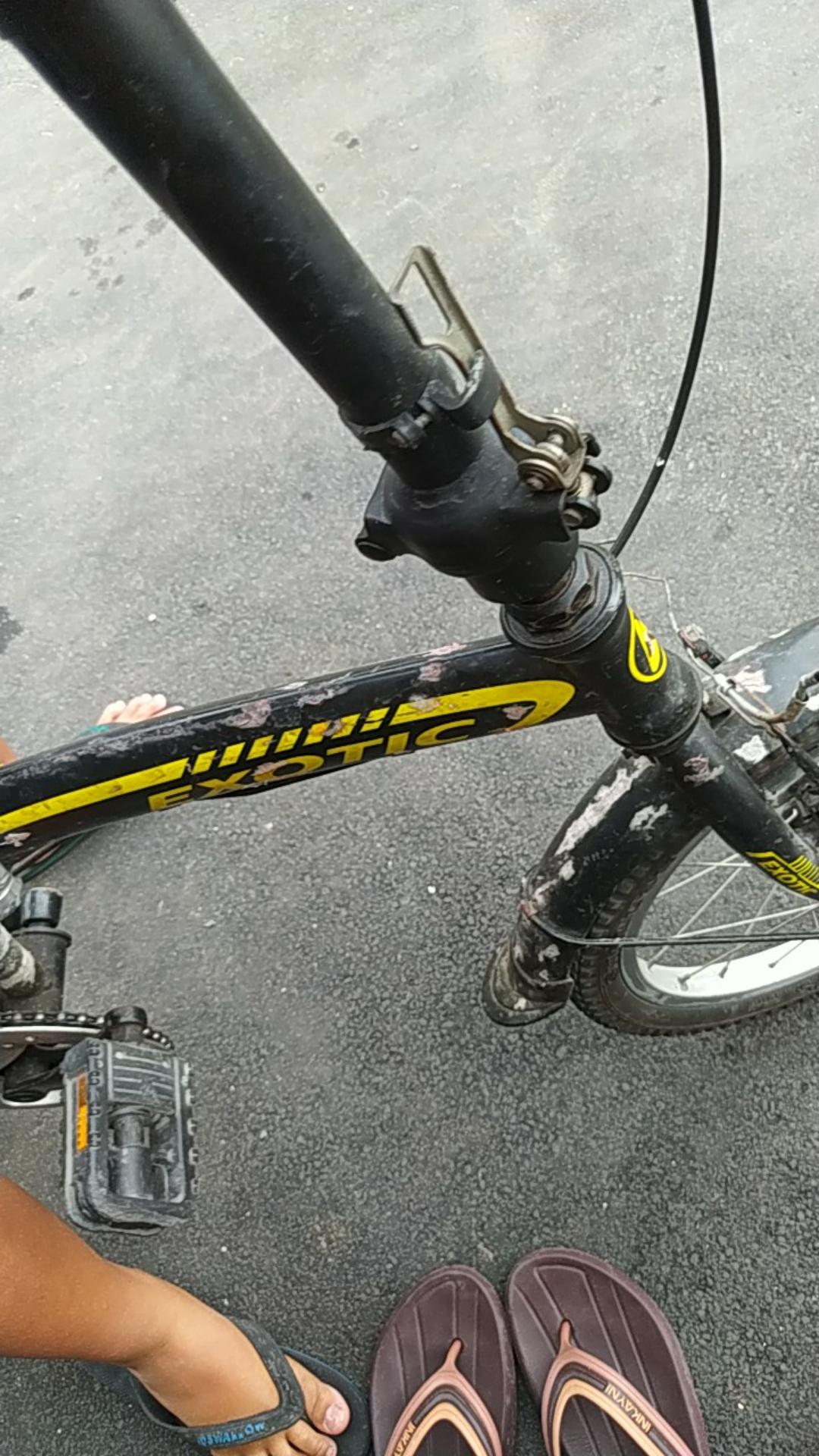 Adiguno Kemeja Batik Pria Full Furing Bahan Katun Primisima