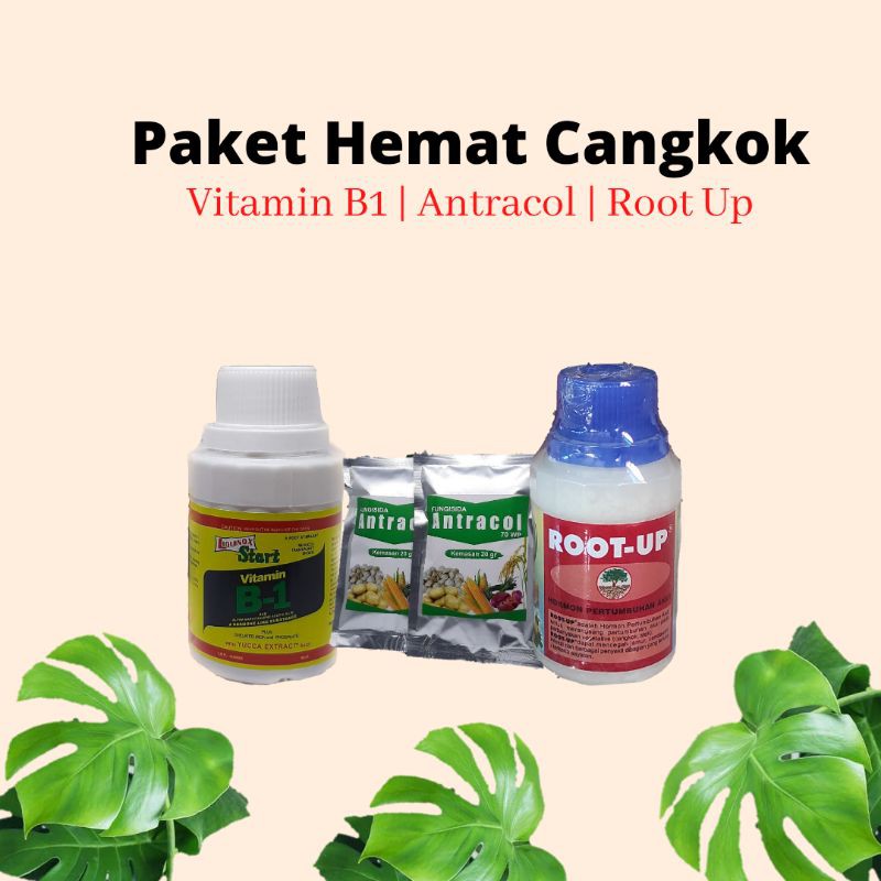 Paket Hemat Gemar mencangkok Root up Vitamin b1 dan antracol
