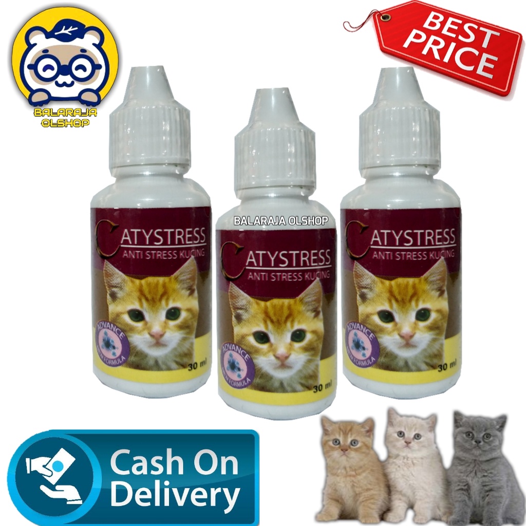 OBAT KUCING STRESS MABOK PERJALANAN - CATYSTRESS