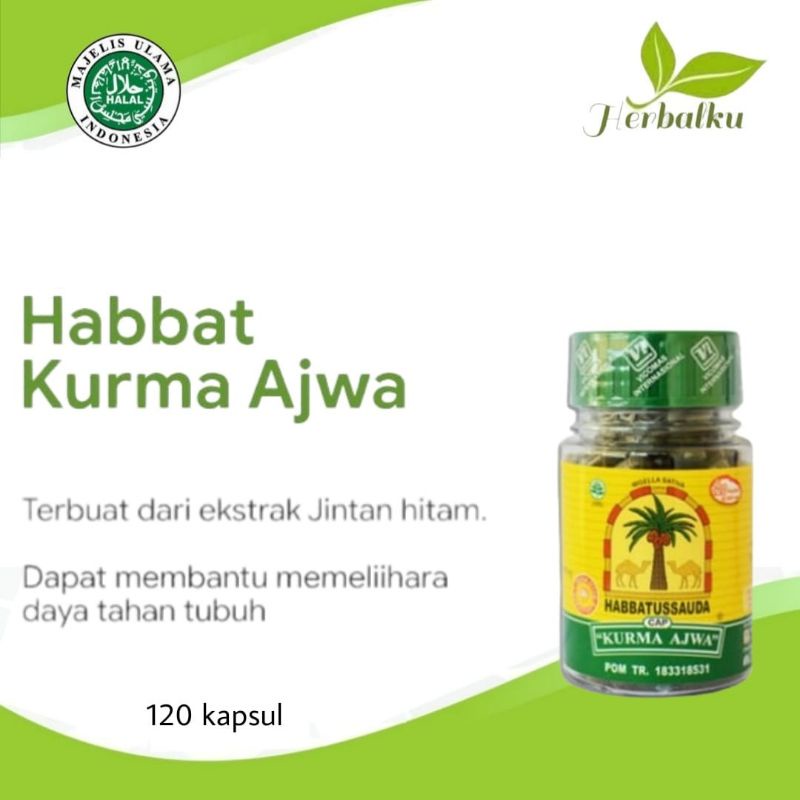 

Habbatussauda Kurma Ajwa 120 kapsul