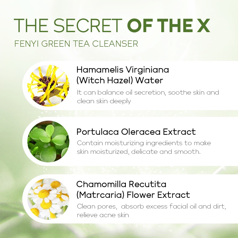 Fenyi Green Tea Facial Wash Foam Cleanser Sachet Mengurangi Bekas Jerawat 2g