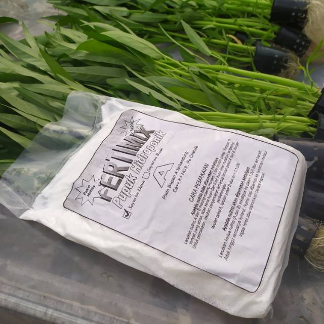 Nutrisi Hidroponik