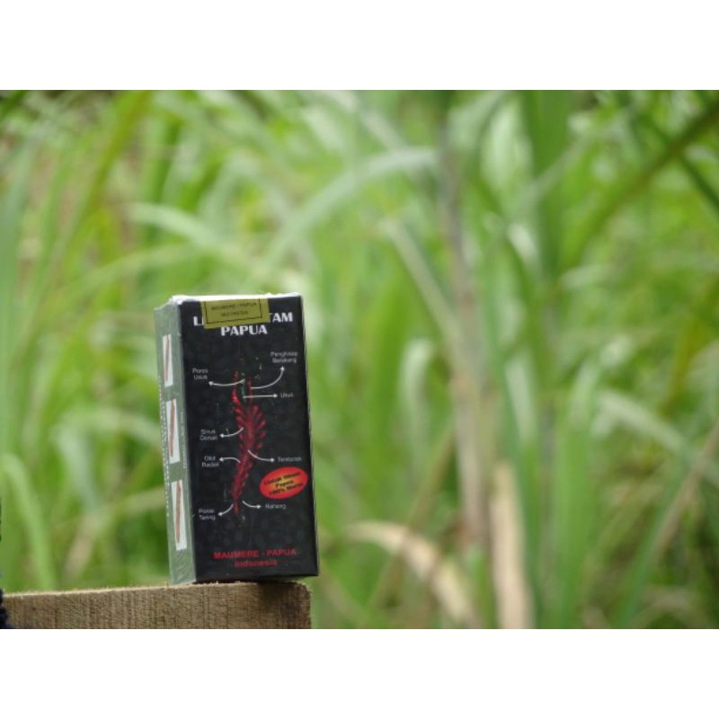 lintah Papua_Original