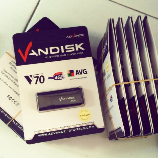 Vandisk 4gb