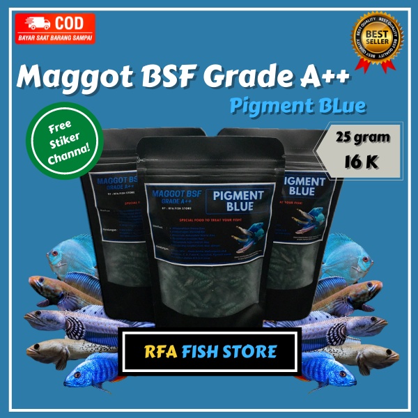 Maggot Kering BSF Grade A++ Pigment BLUE Pakan ikan predator channa pulcra auranti bukan el barca