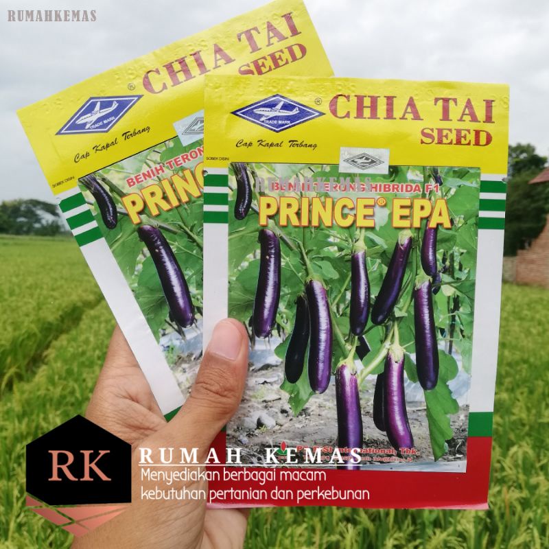 Benih Terong Ungu Hibrida F1 PRINCE EPA PT. Bisi Cap Kapal Terbang