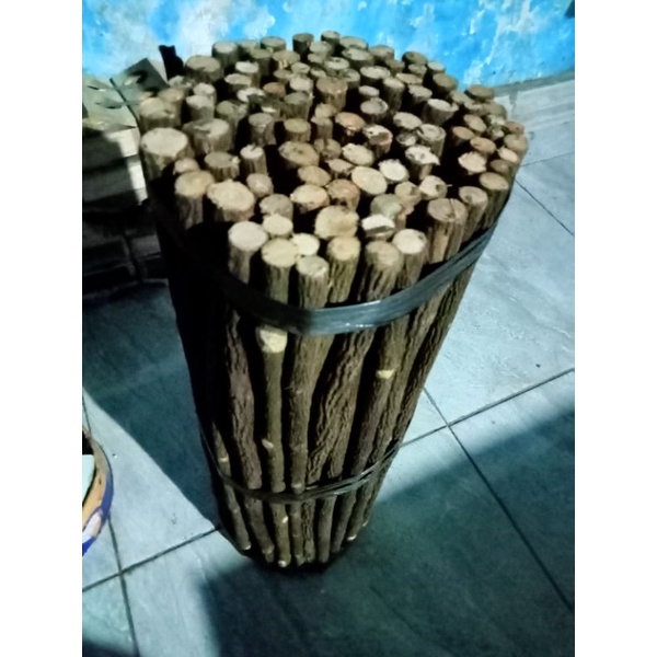 Tangkringan Asem Jawa Super Kenari Kacer 1 Pasang