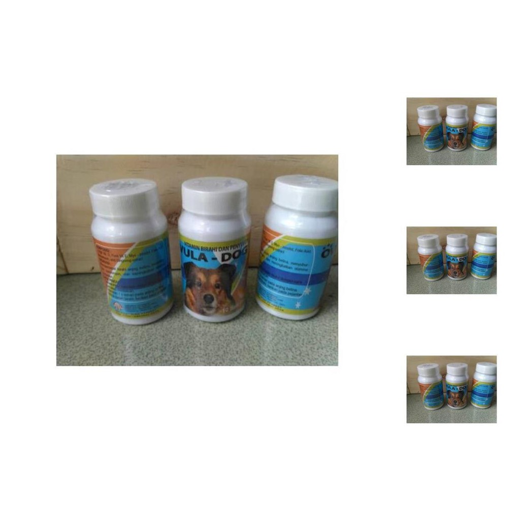 ovula dog   obat birahi anjing