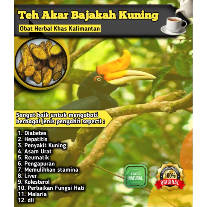 

[Isi 25] Teh Celup Bajakah Akar Kuning 100% Asli Kalimantan Teh bajakah / teh akar kuning / Akar bajakah PREMIUM original isi 25 teh