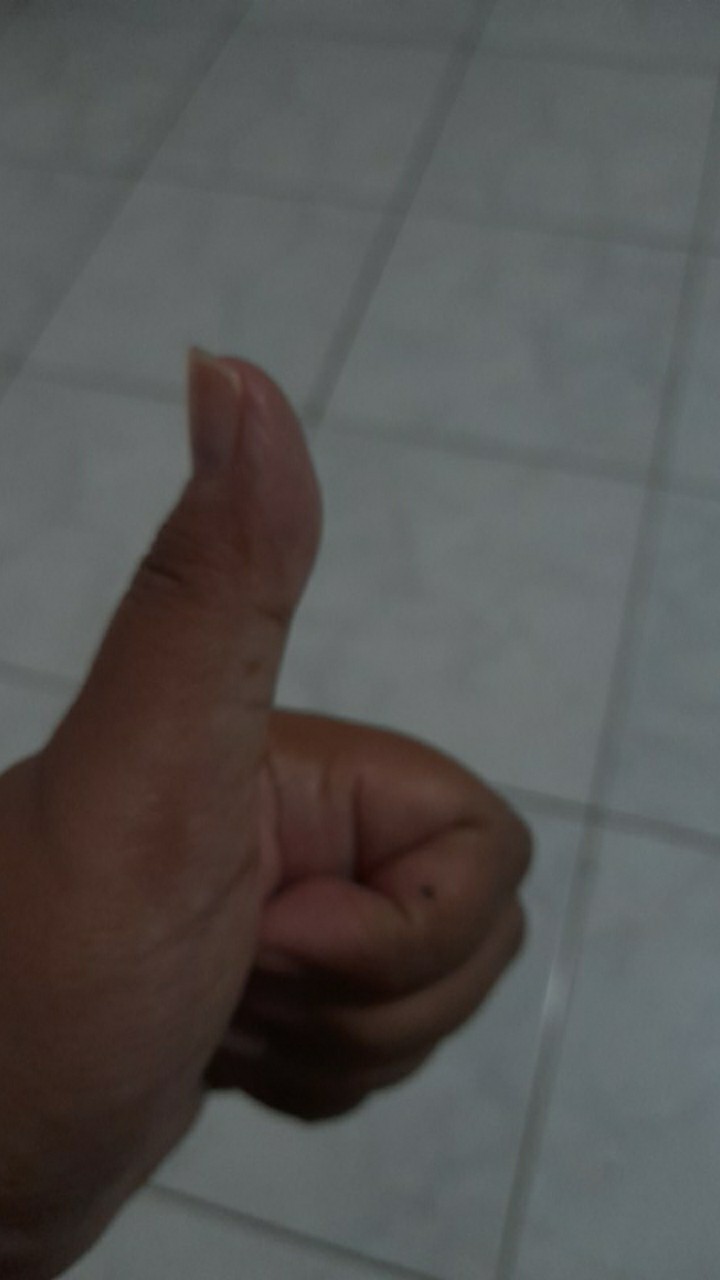 3pcs/set Scraper Dengan Gerigi Asimetris Untuk Penghias Buttercream / Icing Kue