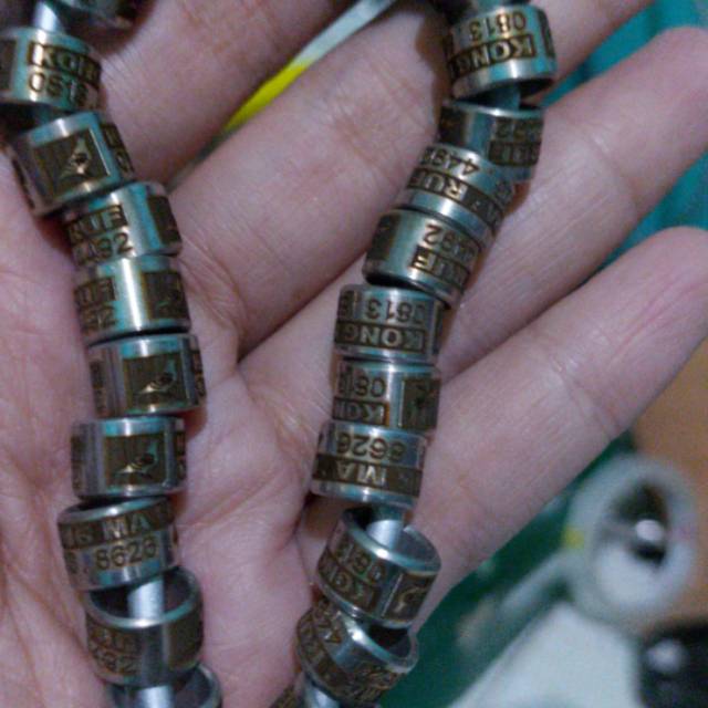 Ring burung baja blok merpati