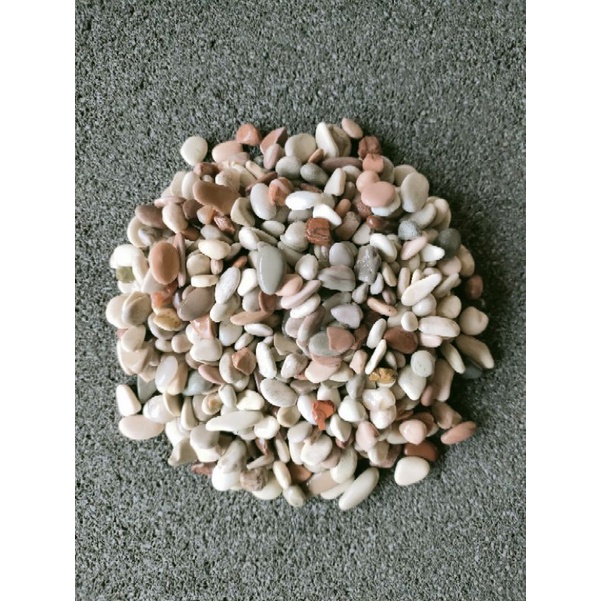 Batu coral pancawarna kecil 1kg/ batu pot/ batu akuarium/ batu aquascape/ batu hias/ batu sikat/ bat