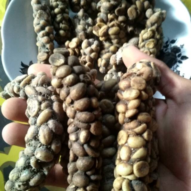 

kopi luwak liar Matemega (feses utuh)