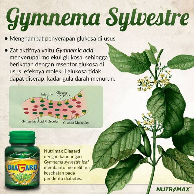 NUTRIMAX DIAGARD @30 / SUPPLEMENT UNTUK DIABETES