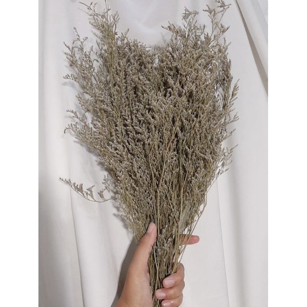 Caspea Bunga Kering Premium