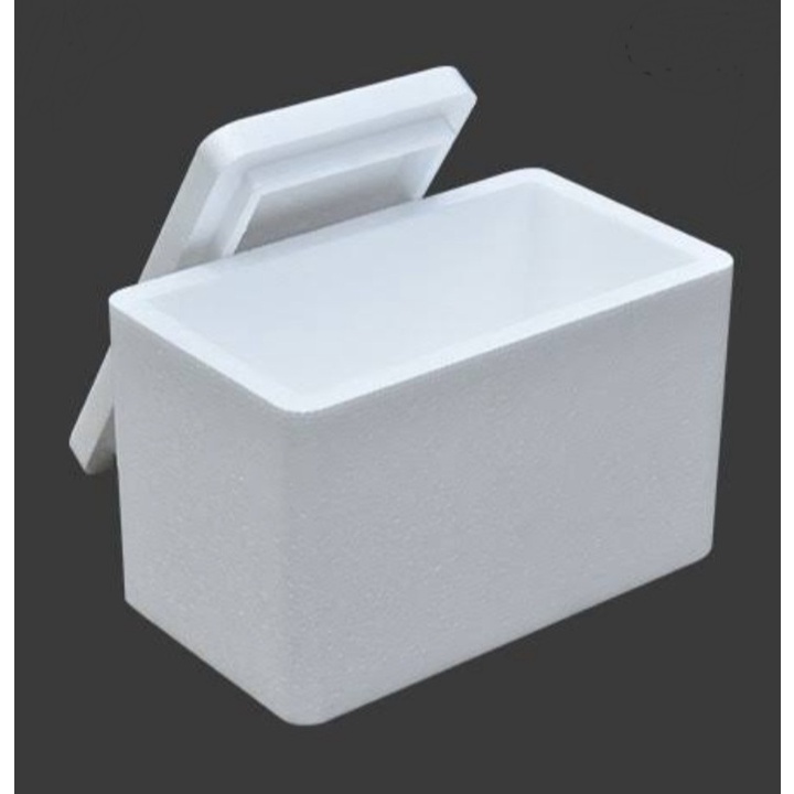 Jual DUS STYROFOAM UNTUK KURIR SAME DAY | Shopee Indonesia