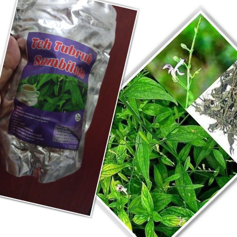 

TEH TUBRUK SAMBILOTO 50 GR