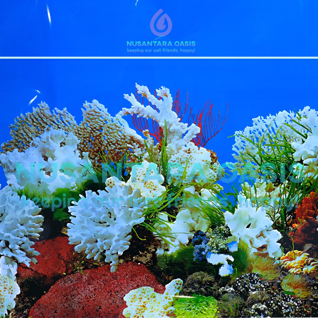 WALLPAPER / BACKGROUND AQUARIUM UK. 60 CM (PER 1 METER)