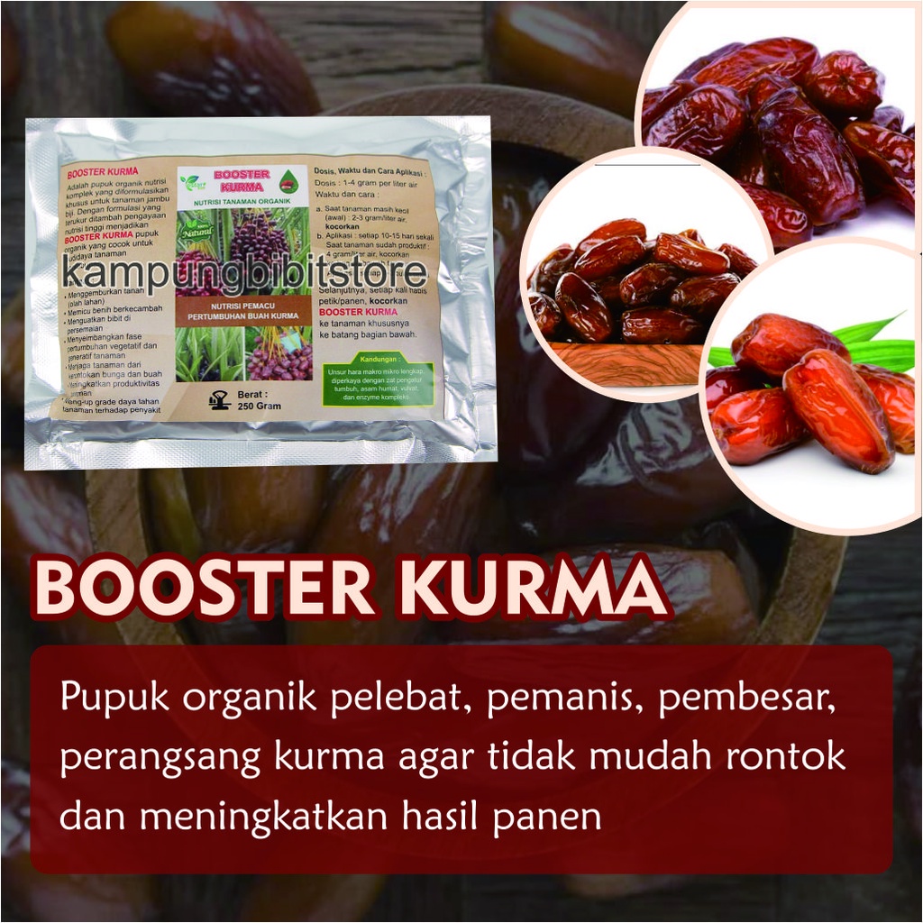 Pupuk Booster Pohon Kurma, Booster Kurma Agar Berbuah Lebat